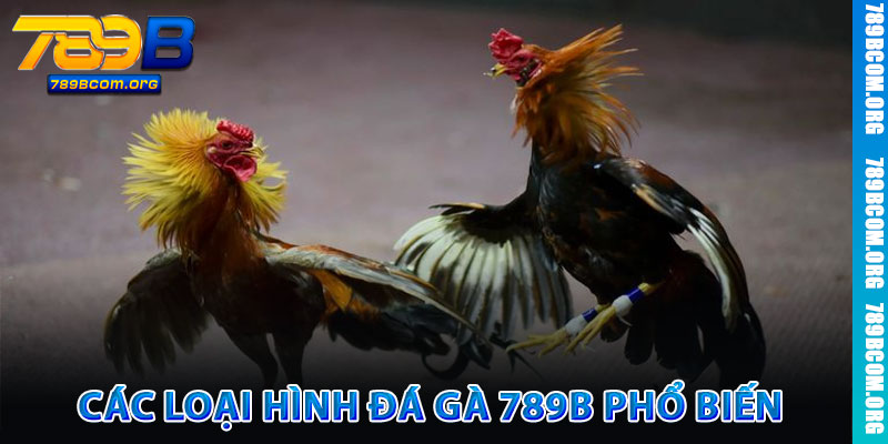 Đá Gà 789b