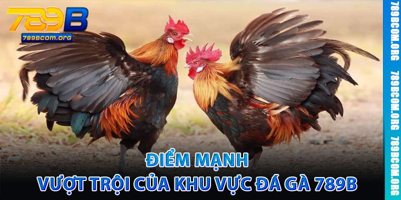 Đá Gà 789b