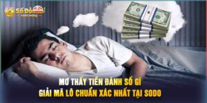 Mơ Thấy Tiền Đánh Số Gì Giải Mã Lô Chuẩn Xác Nhất Tại Sodo