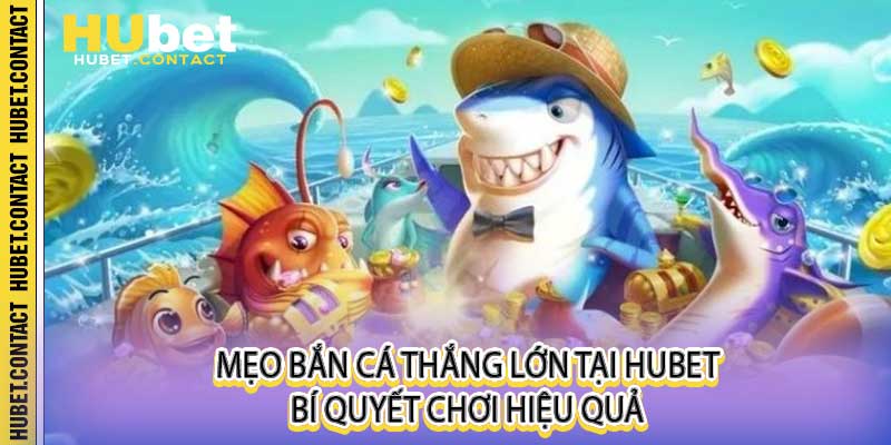 Mẹo Bắn Cá Thắng Lớn Tại Hubet Bí Quyết Chơi Hiệu Quả